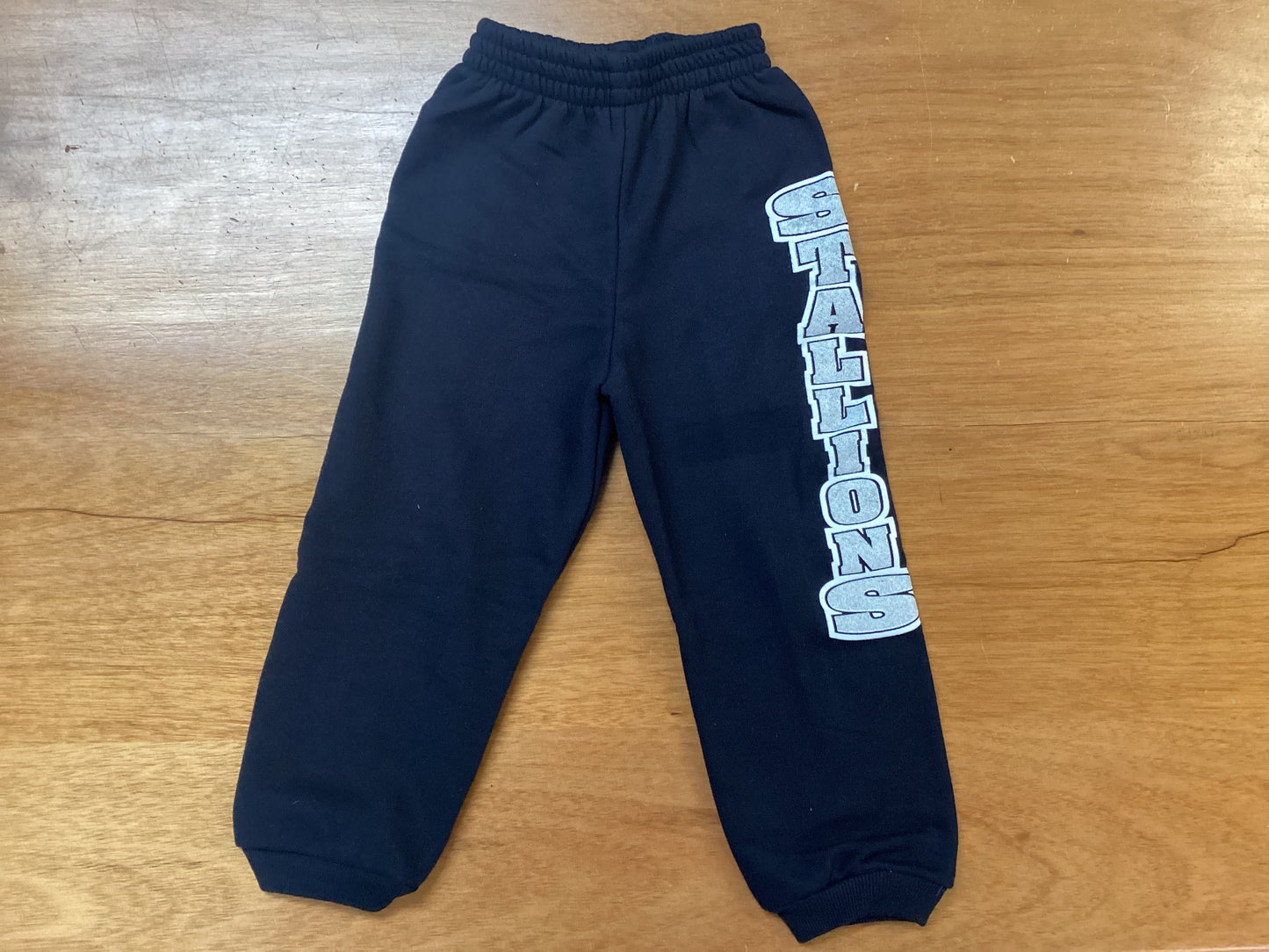 Navy sweatpants